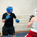 ���� ������, ���������, 43 ���� - ��������� 3 ������� 2014 � ������ ���� ����������