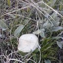 ���� �������, ������������, 70 ��� - ��������� 20 ���� 2014 � ������ ���� ������