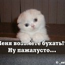 ���� �������, ������, 53 ���� - ��������� 18 ���� 2014 � ������ ���� ����������