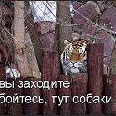 ���� �����, �������, 52 ���� - ��������� 4 ���� 2014 � ������ ������ ��������