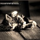 ���� ����, ��������� - ��������� 4 ������ 2014