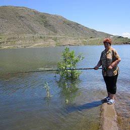 �������, ����-�����������, 67 ���