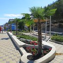 ������ � ����� �� ���������� �������������� ������ � ������, ���� 2014 �. �� ������� �������