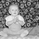 ���� ������, ����, 33 ���� - ��������� 1 ������� 2014 � ������ ���� ����������