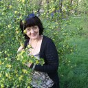 ���� �����, ���������, 60 ��� - ��������� 27 ����� 2014 � ������ ������ ��������