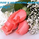 ���� �����, ������ - ��������� 20 ����� 2014 � ������ ������ ��������