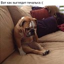 ���� ��, ������������, 50 ��� - ��������� 5 ������ 2014 � ������ ������ ��������