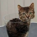 ���� ����, �������, 63 ���� - ��������� 13 ���� 2014 � ������ ������ ��������