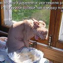 ���� La Gatita, ������, 64 ���� - ��������� 16 ������ 2014 � ������ ������ ��������