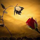 ���� Stylegirl, �������, 40 ��� - ��������� 8 ��� 2014 � ������ ������ ��������