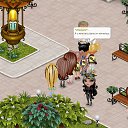  Loren,  -  1  2014   Tropikania