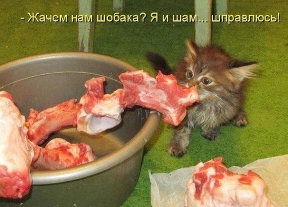 ������� ����� - 8 ���� 2014 � 19:15