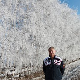 ���������, ��������, 64 ����