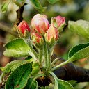 ���� �����, �����, 64 ���� - ��������� 4 ��� 2014 � ������ ������ � �����!�