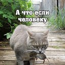 ���� Lisha, ������������, 38 ��� - ��������� 25 ���� 2014 � ������ ������ ��������