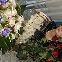 ���� �������, ���������, 66 ��� - ��������� 1 ������ 2014 � ������ ���� ����������