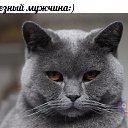���� ���������, �����������, 67 ��� - ��������� 20 ���� 2014 � ������ ���� ����������