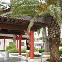  , , 54  -  8  2014     204