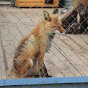 ���� ����, ����-���������, 40 ��� - ��������� 25 ��� 2014 � ������ ���� ����������