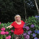 ���� �������, ����������� - ��������� 30 ���� 2014 � ������ ������ ��������