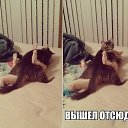 ���� ����������, �����������, 34 ���� - ��������� 22 ����� 2014 � ������ ������ ��������