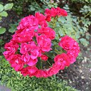 ���� �����, ������ �������� - ��������� 29 ���� 2014 � ������ �2014 ��