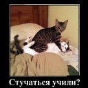 ���� Leonid, �����-���������, 39 ��� - ��������� 5 ���� 2014 � ������ ������ ��������