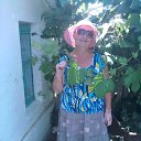 ���� �����, �����-��-����, 68 ��� - ��������� 20 ���� 2014 � ������ ���� ����������