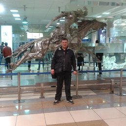 ���� ����, ����, 46 ��� - ��������� 21 ���� 2014