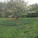 ���� ���������, ����, 53 ���� - ��������� 20 ������ 2014 � ������ ��������� ��������� ����-2014�