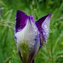 1.06.2014 �� ������� �����ܻ