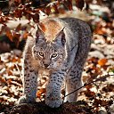 ���� ���������, ������, 53 ���� - ��������� 19 ������� 2014 � ������ ������ ��������