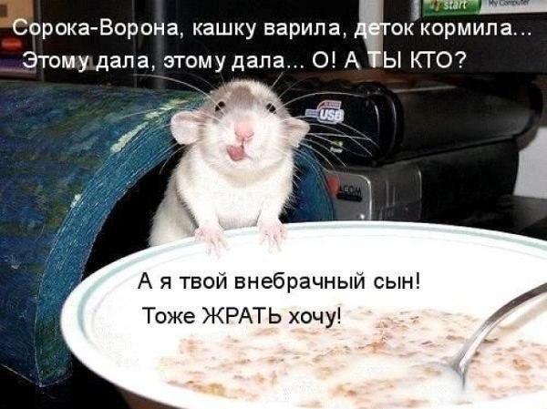 (  ,   - 27  2014  14:41