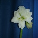 ���� ������, ���-�����, 48 ��� - ��������� 13 ������ 2014 � ������ ������ ��������