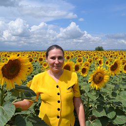 ���� ������� =������=, ��������, 52 ���� - ��������� 2 ������ 2014