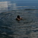 ���� ����� ���������, ���, 53 ���� - ��������� 17 ������� 2014 � ������ ������ ��������