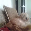 ���� Vera, ����������, 30 ��� - ��������� 14 ��� 2014 � ������ ������ ��������