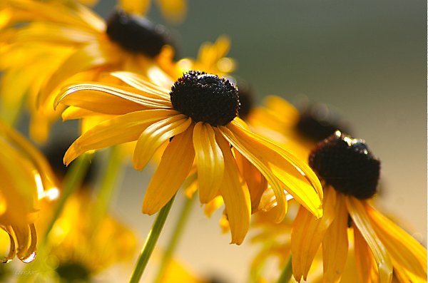 ���� - 24 ���� 2014 � 18:11