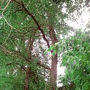 ���� �����, ������� - ��������� 23 ���� 2014 � ������ �23.06.2014�