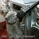 ���� �����, ����� - ��������� 7 ��� 2014 � ������ ������-���