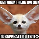 ���� Bumer, �����-��������, 44 ���� - ��������� 4 ������� 2014 � ������ ���� ����������