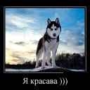 ���� ����, ������, 50 ��� - ��������� 26 ��� 2014 � ������ ���� ����������