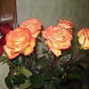 ���� ����, ���������, 53 ���� - ��������� 20 ����� 2014 � ������ ���� ����������