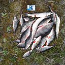 ���� ��������, ����, 51 ��� - ��������� 13 ������ 2014 � ������ ���� ����������