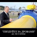 ���� ���������, ����, 40 ��� - ��������� 21 ������ 2014 � ������ ������ ��������
