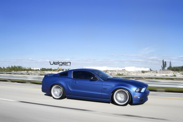 Matte Blue Ford Mustang 5.0 - 5