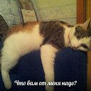 ���� Igor, ������, 42 ���� - ��������� 8 ������� 2014 � ������ ������ ��������