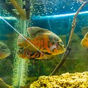  , , 46  -  24  2014      &quot; &quot;