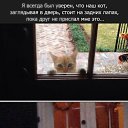 ���� ����, ������ - ��������� 10 ������ 2014 � ������ ���� ����������