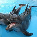 ���� Natsu, ������ - ��������� 12 ������ 2014 � ������ ������ ��������